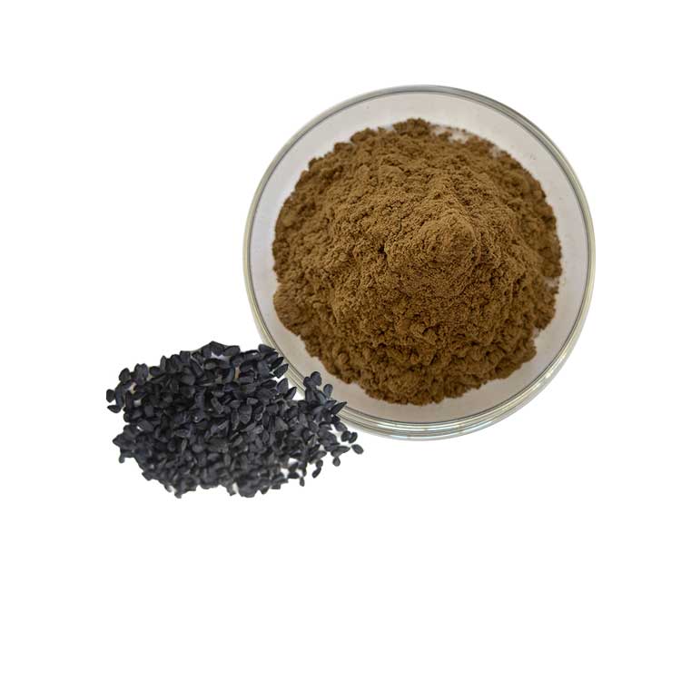 黑种草子提取物