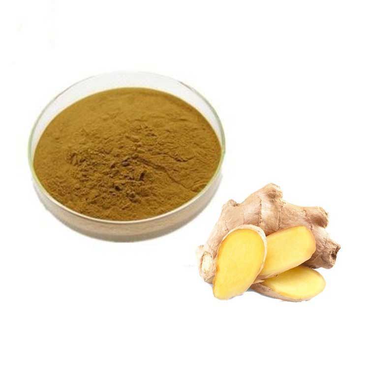 生姜提取物